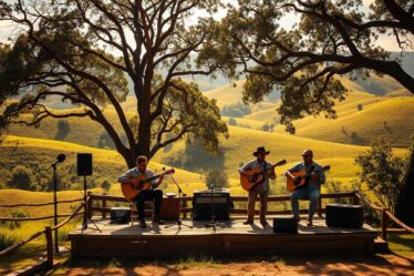 com Músicas Sertanejas