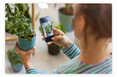 Aplicativos de identificar plantas: reconheça qualquer espécie fácil