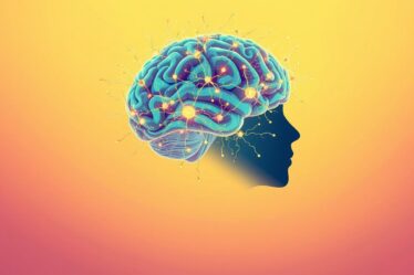 Exercitar o Cérebro