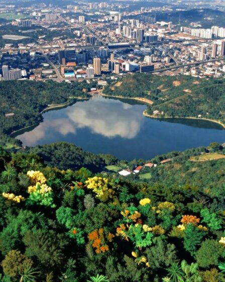 Aplicativos gratuitos que mostram imagens de satélite em tempo real