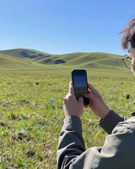 Aplicativos gratuitos para medir terrenos com o celular