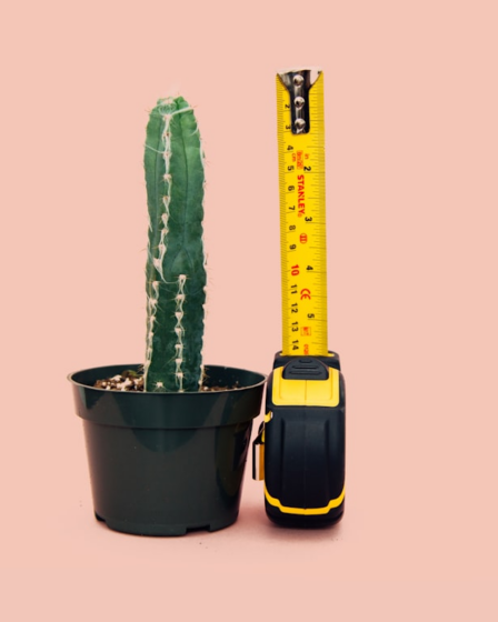 green cactus in back pot beside tape measure — Foto por charlesdeluvio na Unsplash