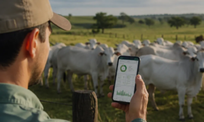 Como Usar o App de Gado no Seu Celular: Guia Prático Completo
